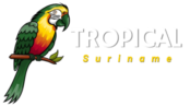 Tropical Suriname